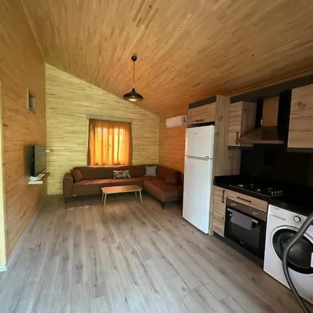Vi̇llas Villa Cirali