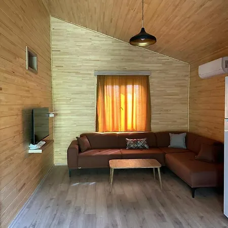Villa Vi̇llas *